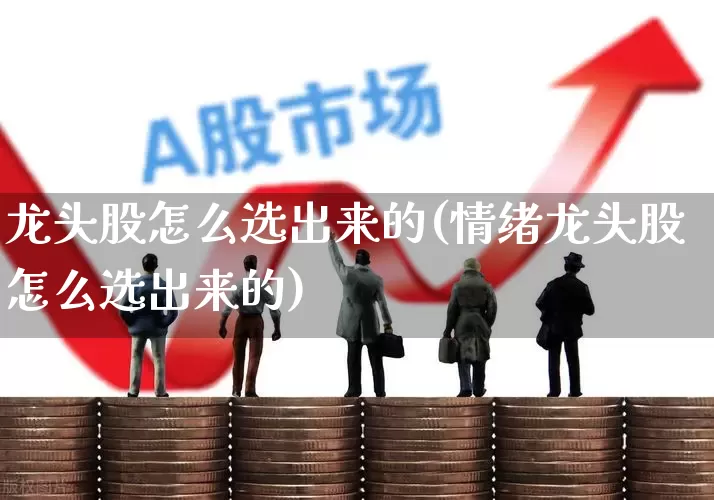 龙头股怎么选出来的(情绪龙头股怎么选出来的)_https://www.hangfeite.com_深交所_第1张