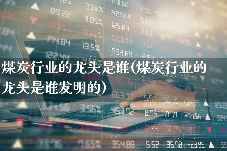 煤炭行业的龙头是谁(煤炭行业的龙头是谁发明的)_https://www.hangfeite.com_深交所_第1张