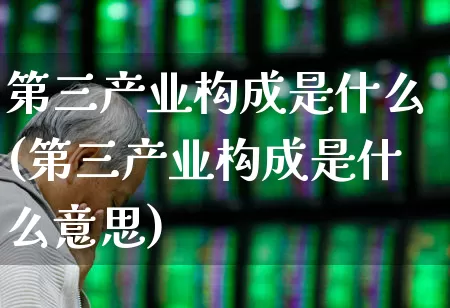 第三产业构成是什么(第三产业构成是什么意思)_https://www.hangfeite.com_科创板_第1张
