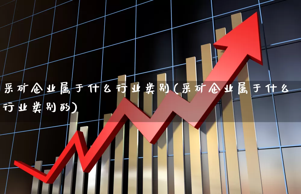 采矿企业属于什么行业类别(采矿企业属于什么行业类别的)_https://www.hangfeite.com_创业板_第1张