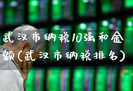 武汉市纳税10强和金额(武汉市纳税排名)_https://www.hangfeite.com_上交所_第1张