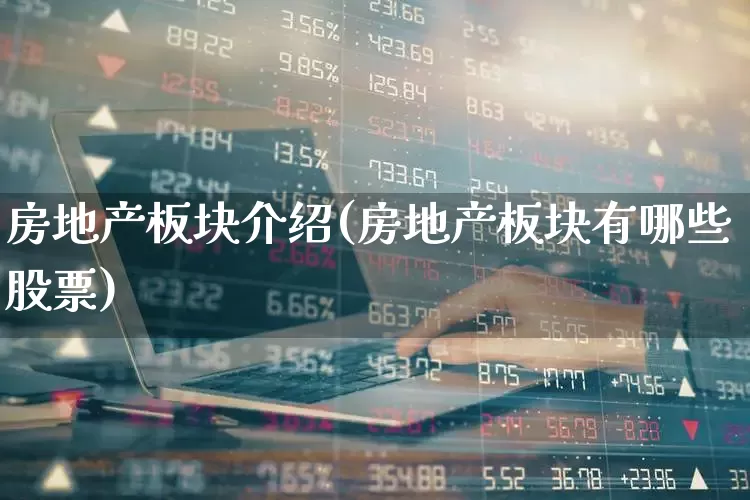 房地产板块介绍(房地产板块有哪些股票)_https://www.hangfeite.com_创业板_第1张