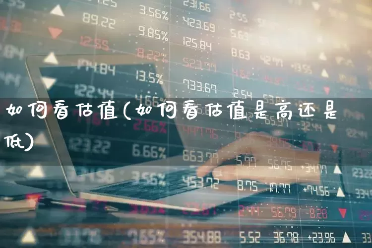 如何看估值(如何看估值是高还是低)_https://www.hangfeite.com_深交所_第1张