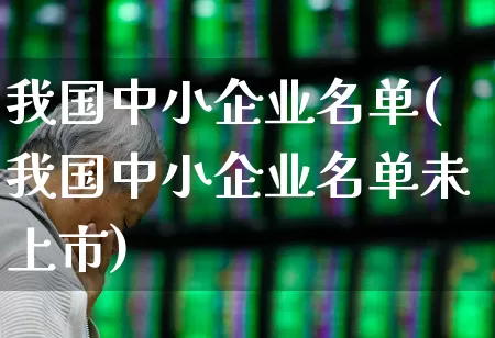 我国中小企业名单(我国中小企业名单未上市)_https://www.hangfeite.com_上交所_第1张