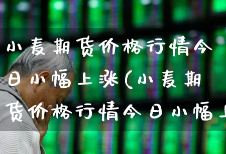 小麦期货价格行情今日小幅上涨(小麦期货价格行情今日小幅上涨的原因)_https://www.hangfeite.com_上交所_第1张