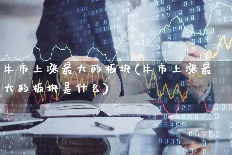 牛市上涨最大的板块(牛市上涨最大的板块是什么)_https://www.hangfeite.com_上交所_第1张
