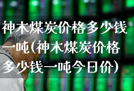 神木煤炭价格多少钱一吨(神木煤炭价格多少钱一吨今日价)_https://www.hangfeite.com_创业板_第1张