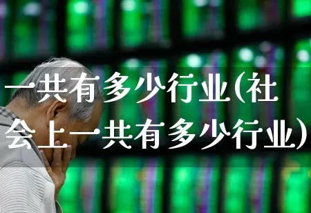 一共有多少行业(社会上一共有多少行业)_https://www.hangfeite.com_北交所_第1张