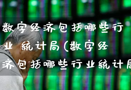 数字经济包括哪些行业 统计局(数字经济包括哪些行业统计局的)_https://www.hangfeite.com_北交所_第1张