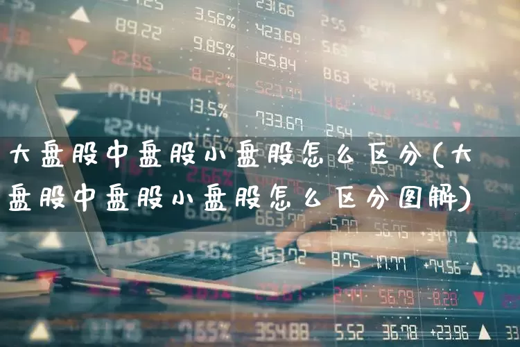 大盘股中盘股小盘股怎么区分(大盘股中盘股小盘股怎么区分图解)_https://www.hangfeite.com_深交所_第1张
