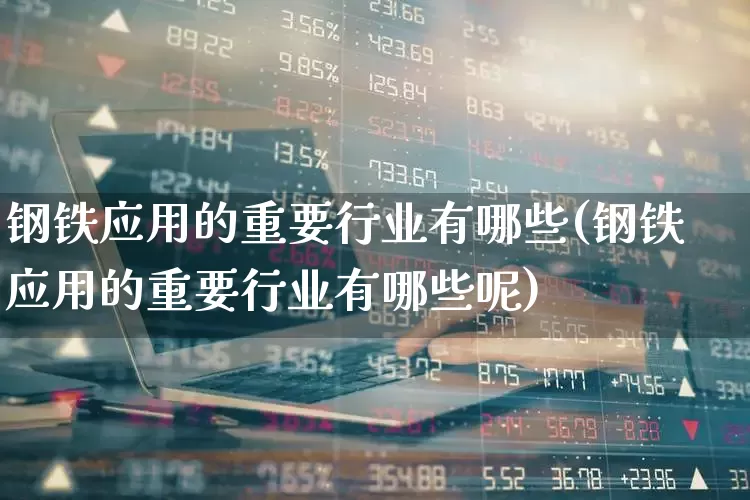 钢铁应用的重要行业有哪些(钢铁应用的重要行业有哪些呢)_https://www.hangfeite.com_创业板_第1张