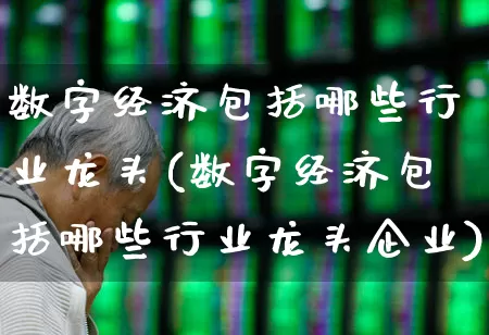 数字经济包括哪些行业龙头(数字经济包括哪些行业龙头企业)_https://www.hangfeite.com_北交所_第1张