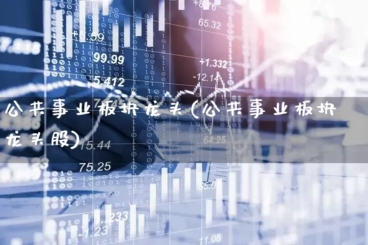 公共事业板块龙头(公共事业板块龙头股)_https://www.hangfeite.com_上交所_第1张
