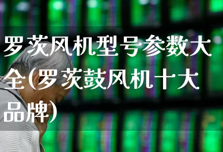 罗茨风机型号参数大全(罗茨鼓风机十大品牌)_https://www.hangfeite.com_创业板_第1张