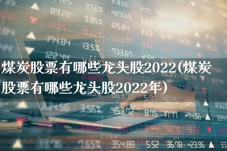 煤炭股票有哪些龙头股2022(煤炭股票有哪些龙头股2022年)_https://www.hangfeite.com_科创板_第1张