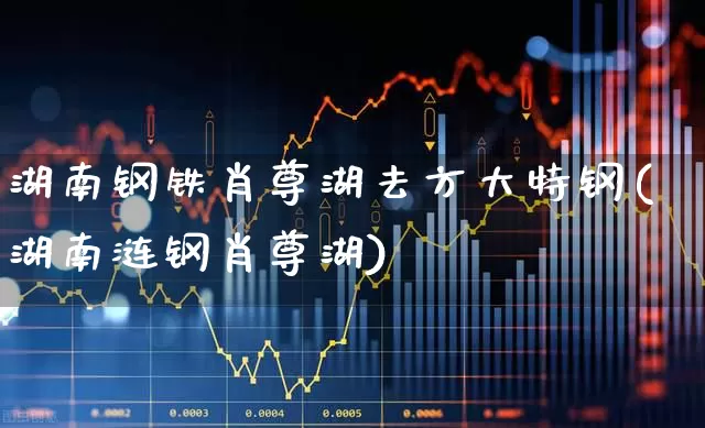 湖南钢铁肖尊湖去方大特钢(湖南涟钢肖尊湖)_https://www.hangfeite.com_上交所_第1张