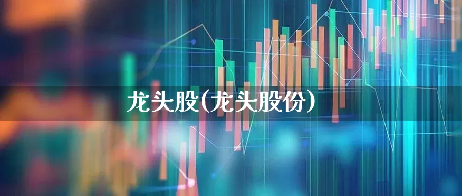 龙头股(龙头股份)_https://www.hangfeite.com_深交所_第1张