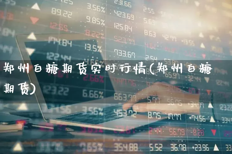 郑州白糖期货实时行情(郑州白糖期货)_https://www.hangfeite.com_北交所_第1张