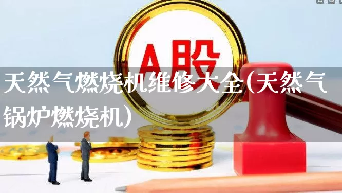 天然气燃烧机维修大全(天然气锅炉燃烧机)_https://www.hangfeite.com_上交所_第1张