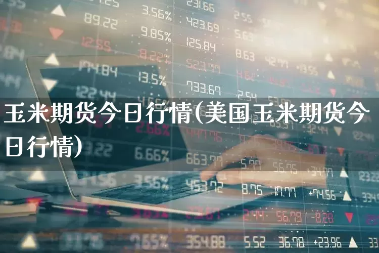 玉米期货今日行情(美国玉米期货今日行情)_https://www.hangfeite.com_上交所_第1张
