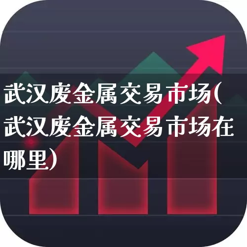 武汉废金属交易市场(武汉废金属交易市场在哪里)_https://www.hangfeite.com_北交所_第1张