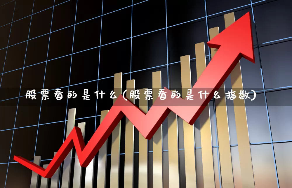 股票看的是什么(股票看的是什么指数)_https://www.hangfeite.com_深交所_第1张