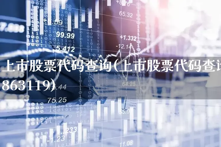 上市股票代码查询(上市股票代码查询863119)_https://www.hangfeite.com_北交所_第1张