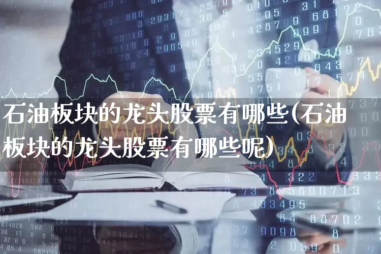 石油板块的龙头股票有哪些(石油板块的龙头股票有哪些呢)_https://www.hangfeite.com_上交所_第1张