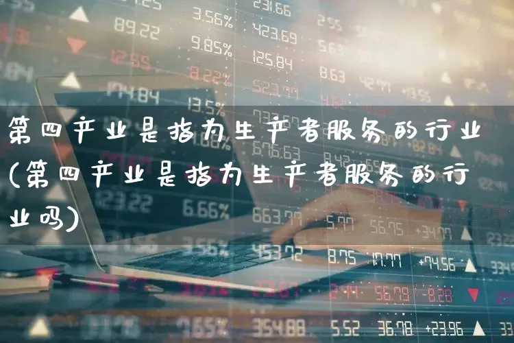 第四产业是指为生产者服务的行业(第四产业是指为生产者服务的行业吗)_https://www.hangfeite.com_北交所_第1张