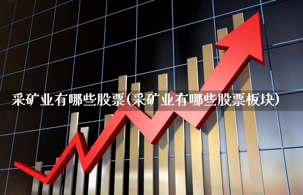 采矿业有哪些股票(采矿业有哪些股票板块)_https://www.hangfeite.com_深交所_第1张