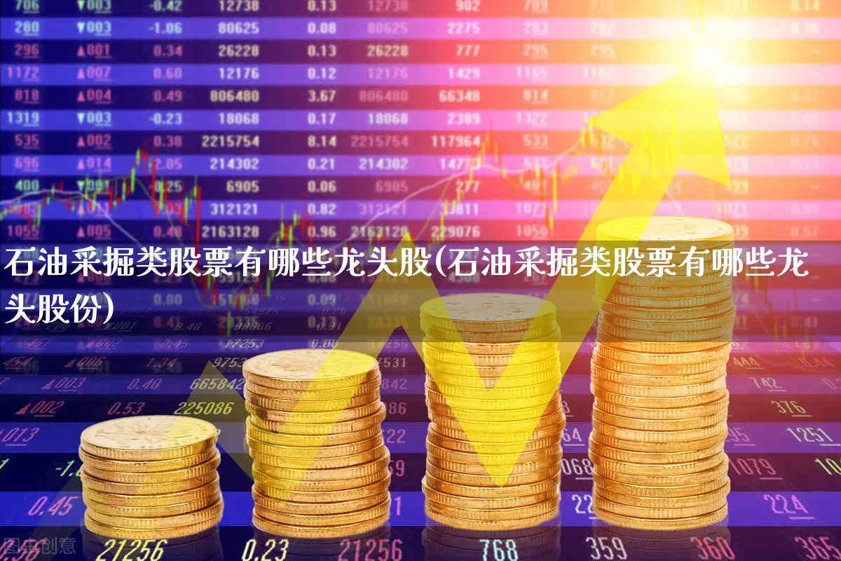石油采掘类股票有哪些龙头股(石油采掘类股票有哪些龙头股份)_https://www.hangfeite.com_深交所_第1张