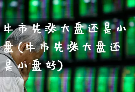 牛市先涨大盘还是小盘(牛市先涨大盘还是小盘好)_https://www.hangfeite.com_北交所_第1张