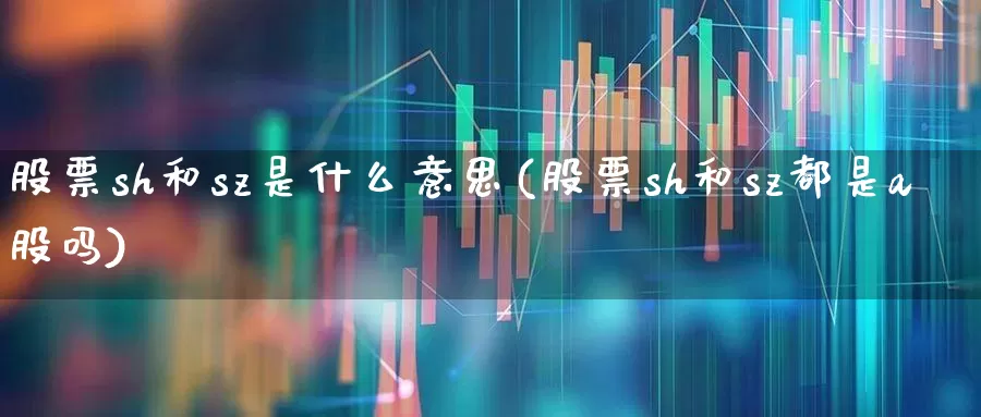 股票sh和sz是什么意思(股票sh和sz都是a股吗)_https://www.hangfeite.com_上交所_第1张