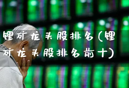 锂矿龙头股排名(锂矿龙头股排名前十)_https://www.hangfeite.com_上交所_第1张