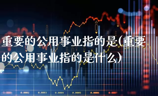 重要的公用事业指的是(重要的公用事业指的是什么)_https://www.hangfeite.com_深交所_第1张