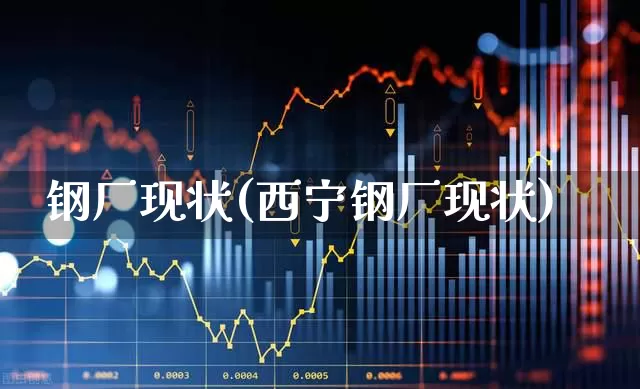 钢厂现状(西宁钢厂现状)_https://www.hangfeite.com_深交所_第1张