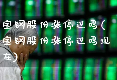 宝钢股份涨停过吗(宝钢股份涨停过吗现在)_https://www.hangfeite.com_深交所_第1张