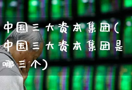 中国三大资本集团(中国三大资本集团是哪三个)_https://www.hangfeite.com_北交所_第1张