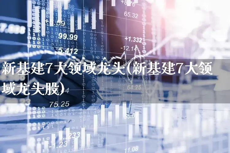 新基建7大领域龙头(新基建7大领域龙头股)_https://www.hangfeite.com_科创板_第1张
