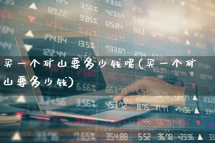 买一个矿山要多少钱呢(买一个矿山要多少钱)_https://www.hangfeite.com_科创板_第1张