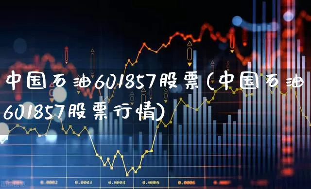 中国石油601857股票(中国石油601857股票行情)_https://www.hangfeite.com_创业板_第1张