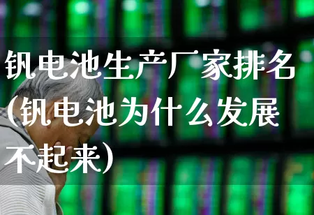 钒电池生产厂家排名(钒电池为什么发展不起来)_https://www.hangfeite.com_创业板_第1张