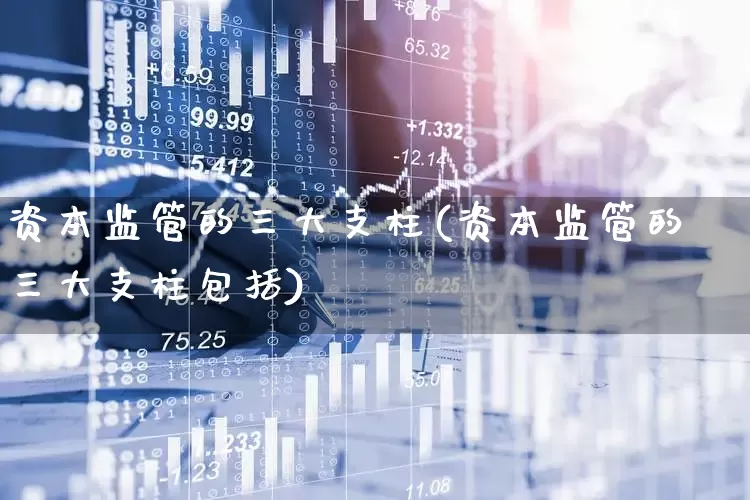 资本监管的三大支柱(资本监管的三大支柱包括)_https://www.hangfeite.com_科创板_第1张