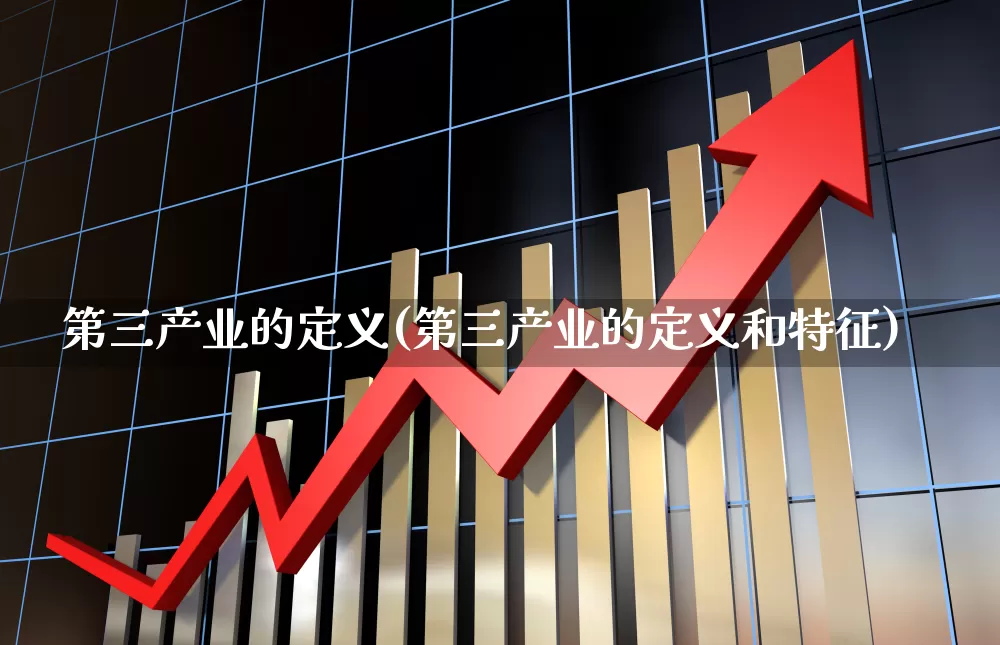 第三产业的定义(第三产业的定义和特征)_https://www.hangfeite.com_上交所_第1张