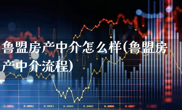 鲁盟房产中介怎么样(鲁盟房产中介流程)_https://www.hangfeite.com_上交所_第1张