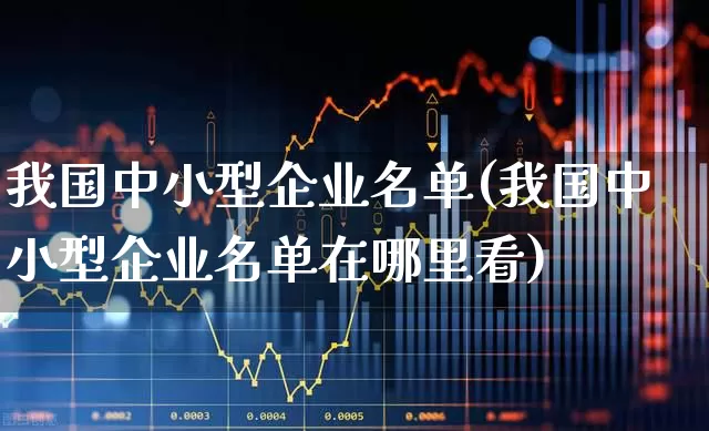 我国中小型企业名单(我国中小型企业名单在哪里看)_https://www.hangfeite.com_深交所_第1张