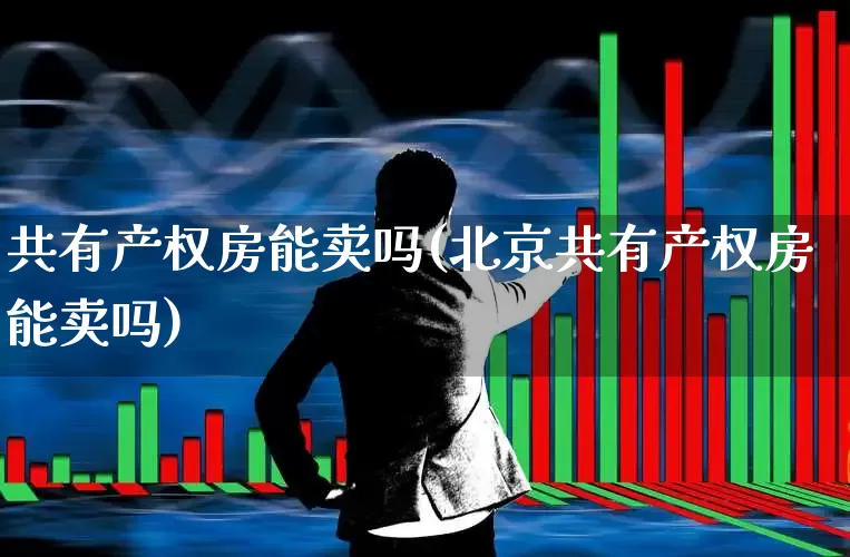 共有产权房能卖吗(北京共有产权房能卖吗)_https://www.hangfeite.com_科创板_第1张
