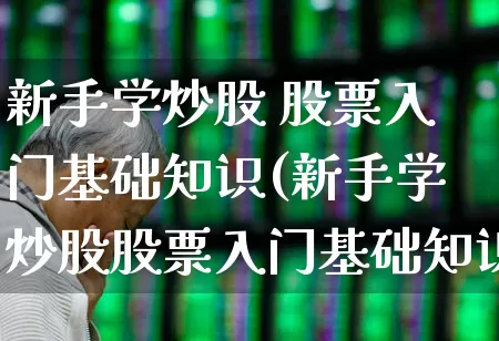 新手学炒股 股票入门基础知识(新手学炒股股票入门基础知识)_https://www.hangfeite.com_创业板_第1张