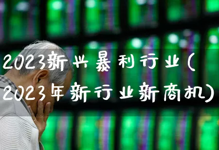 2023新兴暴利行业(2023年新行业新商机)_https://www.hangfeite.com_上交所_第1张