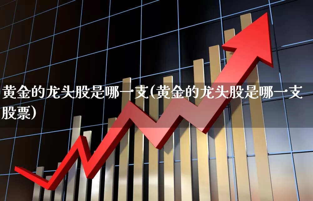 黄金的龙头股是哪一支(黄金的龙头股是哪一支股票)_https://www.hangfeite.com_深交所_第1张